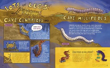 The Dark!: Wild Life in the Mysterious World of Caves - Lindsey Leigh [KSIĄŻKA]