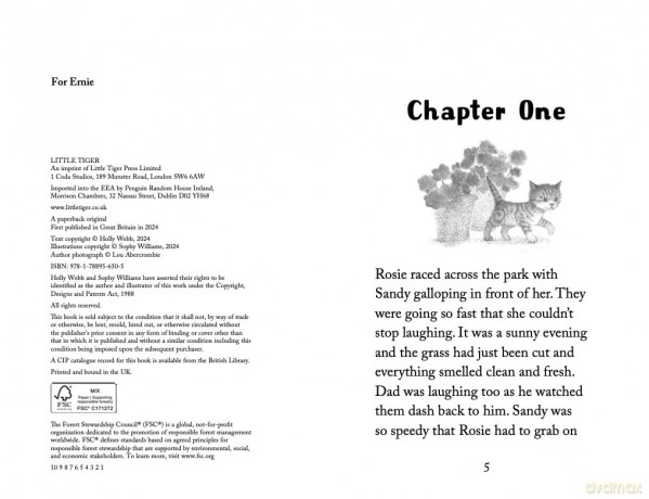 The Determined Kitten (Holly Webb Animal Stories, 59) - Holly Webb [KSIĄŻKA]