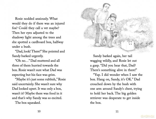 The Determined Kitten (Holly Webb Animal Stories, 59) - Holly Webb [KSIĄŻKA]
