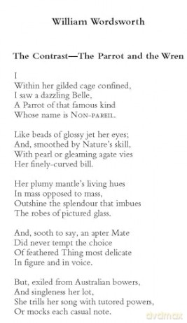 The Dover Anthology of Bird Poetry (Thrift Editions) - Nicholas Kay [KSIĄŻKA]