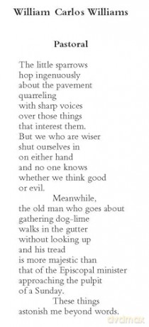 The Dover Anthology of Bird Poetry (Thrift Editions) - Nicholas Kay [KSIĄŻKA]