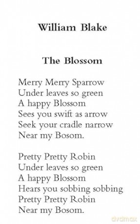 The Dover Anthology of Bird Poetry (Thrift Editions) - Nicholas Kay [KSIĄŻKA]