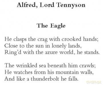 The Dover Anthology of Bird Poetry (Thrift Editions) - Nicholas Kay [KSIĄŻKA]