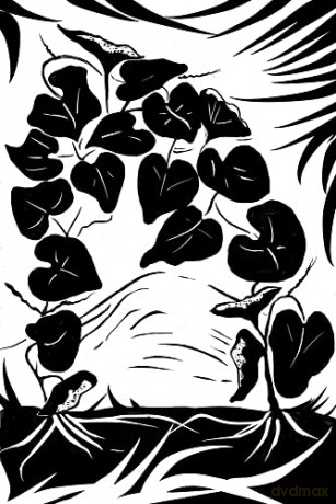 The Dreaming Gourd [KSIĄŻKA]