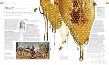 The Food Book: The Stories, Science, and History of What We Eat - Dk [KSIĄŻKA]