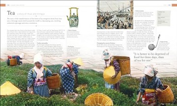 The Food Book: The Stories, Science, and History of What We Eat - Dk [KSIĄŻKA]