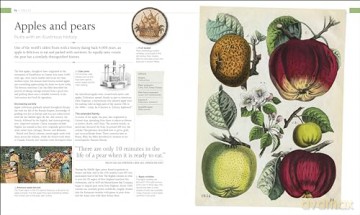 The Food Book: The Stories, Science, and History of What We Eat - Dk [KSIĄŻKA]