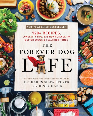 The Forever Dog Life: 120+ Recipes, Longevity Tips, and New Science for Better Bowls and Healthier Homes - Habib Rodney [KSIĄŻKA]