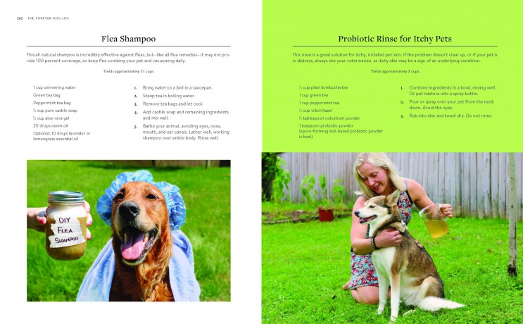 The Forever Dog Life: 120+ Recipes, Longevity Tips, and New Science for Better Bowls and Healthier Homes - Habib Rodney [KSIĄŻKA]