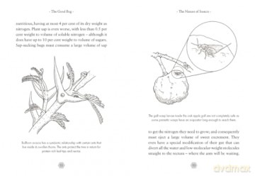 The Good Bug: A Celebration of Insects (and What We Can Do to Protect Them) - George Mcgavin [KSIĄŻKA]