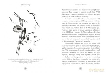 The Good Bug: A Celebration of Insects (and What We Can Do to Protect Them) - George Mcgavin [KSIĄŻKA]