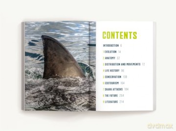 The Great White Shark Handbook: The Definitive Guide to the Most Extraordinary Shark in the Sea - Cider Mill Press [KSIĄŻKA]