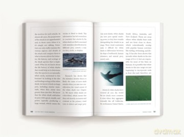 The Great White Shark Handbook: The Definitive Guide to the Most Extraordinary Shark in the Sea - Cider Mill Press [KSIĄŻKA]