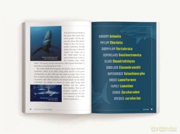 The Great White Shark Handbook: The Definitive Guide to the Most Extraordinary Shark in the Sea - Cider Mill Press [KSIĄŻKA]