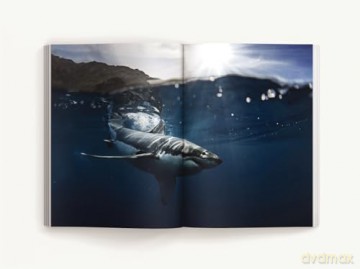 The Great White Shark Handbook: The Definitive Guide to the Most Extraordinary Shark in the Sea - Cider Mill Press [KSIĄŻKA]
