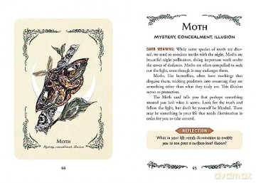 The Green Witch's Oracle Deck: Embrace the Wisdom and Insight of Natural Magic (Green Witch Witchcraft Series) - Arin Murphy-Hiscock [KSIĄŻKA]