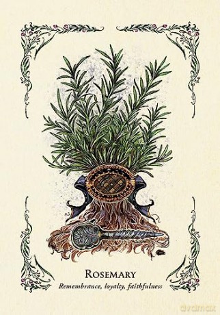 The Green Witch's Oracle Deck: Embrace the Wisdom and Insight of Natural Magic (Green Witch Witchcraft Series) - Arin Murphy-Hiscock [KSIĄŻKA]