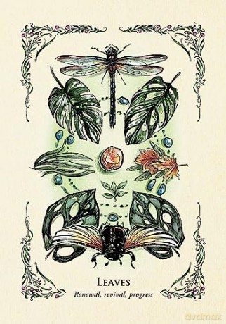 The Green Witch's Oracle Deck: Embrace the Wisdom and Insight of Natural Magic (Green Witch Witchcraft Series) - Arin Murphy-Hiscock [KSIĄŻKA]
