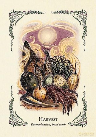 The Green Witch's Oracle Deck: Embrace the Wisdom and Insight of Natural Magic (Green Witch Witchcraft Series) - Arin Murphy-Hiscock [KSIĄŻKA]