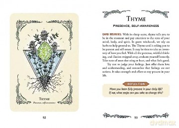 The Green Witch's Oracle Deck: Embrace the Wisdom and Insight of Natural Magic (Green Witch Witchcraft Series) - Arin Murphy-Hiscock [KSIĄŻKA]