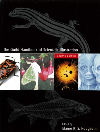 The Guild Handbook of Scientific Illustration - Hodges [KSIĄŻKA]