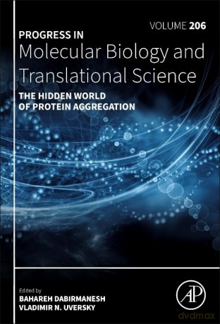 The Hidden World of Protein Aggregation (Volume 206) (Progress in Molecular Biology and Translational Science, Volume 206) - David B. Teplow [KSIĄŻKA]