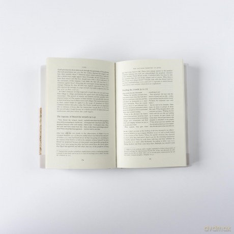 The Hodder Bible Commentary: Luke - David Peterson [KSIĄŻKA]
