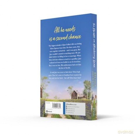 The House On Blueberry Lane: Perfect for fans of uplifting second chance, small-town romance in 2024!: Book 6 (Catalina Cove) - Brenda Jackson [KSIĄŻKA]