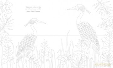 The Joy of Mindfulness Coloring: 50 Quotes and Designs to Help You Find Calm, Slow Down and Relax - Holly Macdonald [KSIĄŻKA]