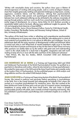 The Late Teenage Years: From Seventeen to Adulthood (The Karnac Developmental Psychology Series) - Rodriguez De La Sier [KSIĄŻKA]