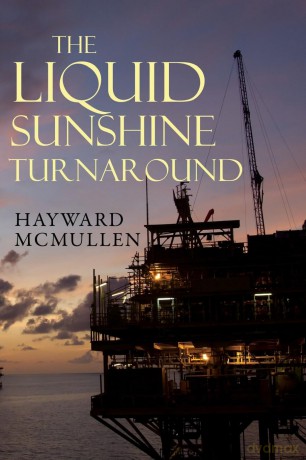 The Liquid Sunshine Turnaround - Hayward Mcmullen [KSIĄŻKA]