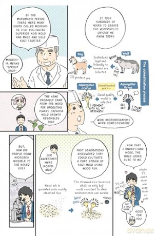 The Manga Guide to Japanese Food: Everything You Want to Know About the History, Ingredients and Folklore of Japan's Unique Cuisine (Learn All About Your Favorite Japanese Foods!) - Hiroshi Nagashima [KOMIKS]