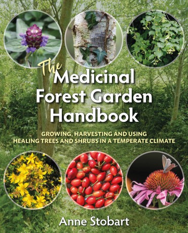 The Medicinal Forest Garden Handbook: Growing, harvesting and using healing trees and shrubs in a temperate climate - Anne Stobart [KSIĄŻKA]