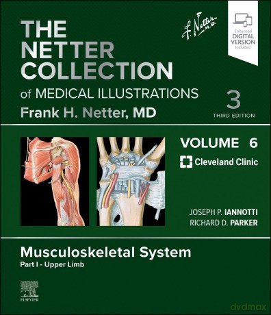 The Netter Collection of Medical Illustrations: Musculoskeletal System, Volume 6, Part I - Upper Limb (Netter Green Book Collection) - Joseph Iannotti [KSIĄŻKA]