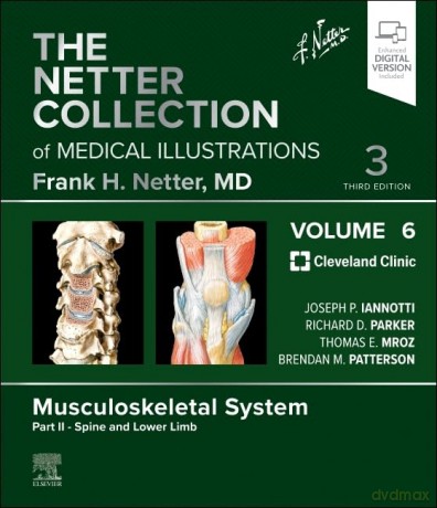 The Netter Collection of Medical Illustrations: Musculoskeletal System, Volume 6, Part II - Spine and Lower Limb (Netter Green Book Collection) - Joseph P Iannotti [KSIĄŻKA]