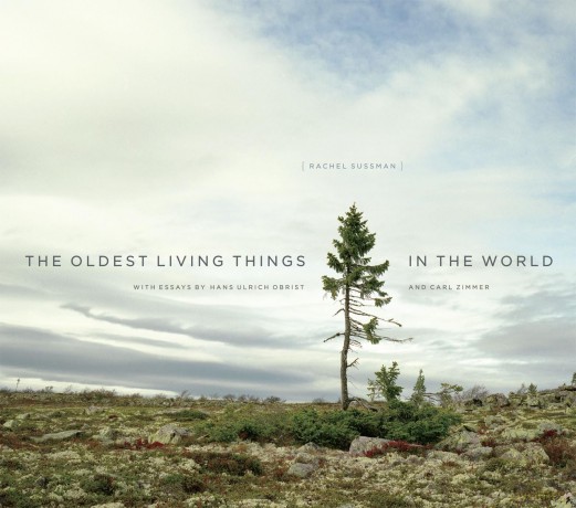 The Oldest Living Things in the World [KSIĄŻKA]