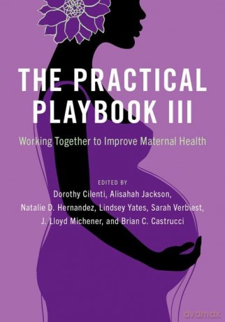 The Practical Playbook III: Working Together to Improve Maternal Health: 3 - Dorothy Cilenti [KSIĄŻKA]