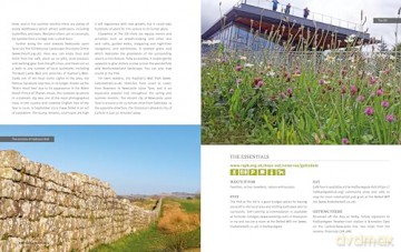 The Rough Guide to Rewilding in Britain: 15 Special Places to Reconnect with Nature (Inspirational Rough Guides) - Rough Guides [KSIĄŻKA]