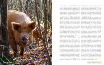 The Rough Guide to Rewilding in Britain: 15 Special Places to Reconnect with Nature (Inspirational Rough Guides) - Rough Guides [KSIĄŻKA]