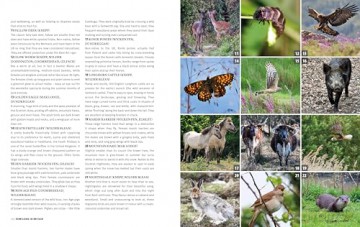 The Rough Guide to Rewilding in Britain: 15 Special Places to Reconnect with Nature (Inspirational Rough Guides) - Rough Guides [KSIĄŻKA]