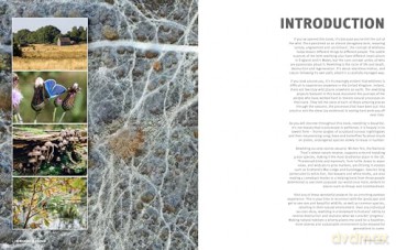 The Rough Guide to Rewilding in Britain: 15 Special Places to Reconnect with Nature (Inspirational Rough Guides) - Rough Guides [KSIĄŻKA]