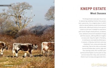 The Rough Guide to Rewilding in Britain: 15 Special Places to Reconnect with Nature (Inspirational Rough Guides) - Rough Guides [KSIĄŻKA]