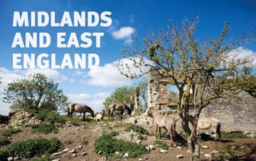 The Rough Guide to Rewilding in Britain: 15 Special Places to Reconnect with Nature (Inspirational Rough Guides) - Rough Guides [KSIĄŻKA]