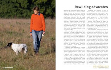 The Rough Guide to Rewilding in Britain: 15 Special Places to Reconnect with Nature (Inspirational Rough Guides) - Rough Guides [KSIĄŻKA]