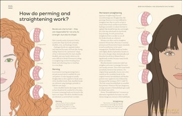 The Science of Beauty: Debunk the Myths and Discover What Goes into Your Beauty Routine - Michelle Wong [KSIĄŻKA]
