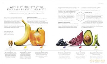 The Science of Plant-based Nutrition: How to Enhance the Power of Plants for Optimal Health: The Sunday Times Bestseller - Rhiannon Lambert [KSIĄŻKA]