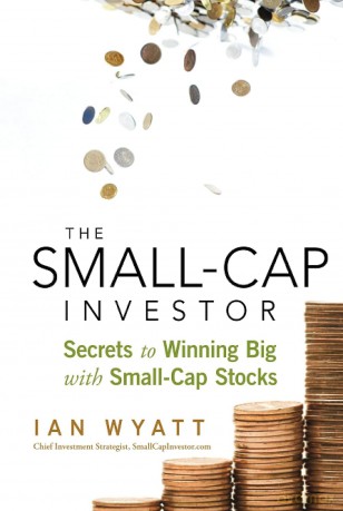 The Small-Cap Investor: Secrets to Winning Big with Small-Cap Stocks - Ian Wyatt [KSIĄŻKA]