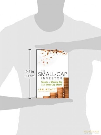 The Small-Cap Investor: Secrets to Winning Big with Small-Cap Stocks - Ian Wyatt [KSIĄŻKA]