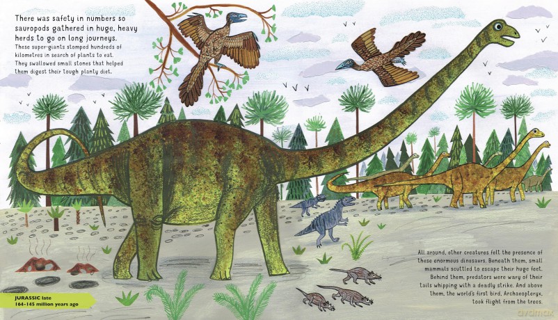 The Story of Dinosaurs: A first book about prehistoric beasts - Catherine Barr [KSIĄŻKA]