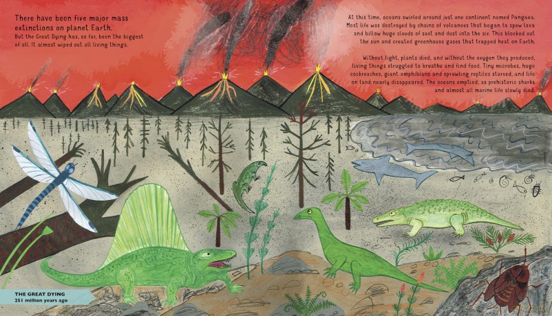 The Story of Dinosaurs: A first book about prehistoric beasts - Catherine Barr [KSIĄŻKA]